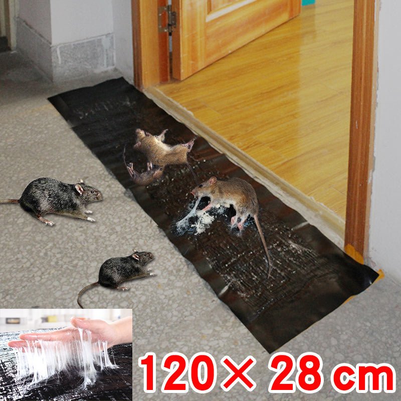 Large Glue Trap Board with Non-Toxic Adhesive and Cardboard Base, 10-Pack