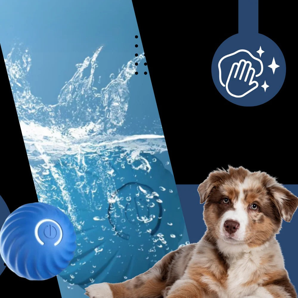 Self-Rolling Dog Ball with Automatic Obstacle Avoidance and Rechargeable Battery