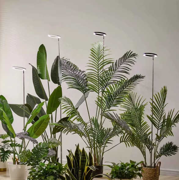 LED Ring Grow Light with Adjustable Height and 9 Brightness Levels for Indoor Plants