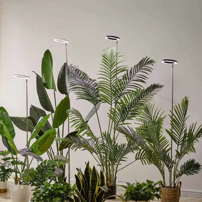 LED Ring Grow Light with Adjustable Height and 9 Brightness Levels for Indoor Plants