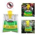 Disposable Fly Trap with Water-Activated Bait and Hanging Loop for Outdoor Use