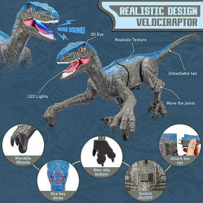Walking Velociraptor Dinosaur Toy with Wireless Remote and Sound Effects