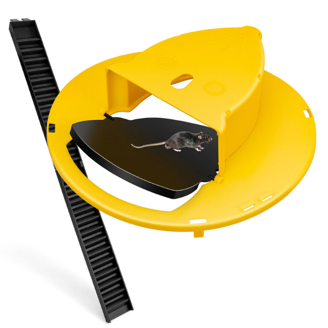 Bucket Cover Mouse Trap with Auto Reset Flip Slide and Dual Ladders