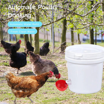 Gravity Fed Poultry Waterer with Dual Rubber Seal and Deep Cup, 10-Pack
