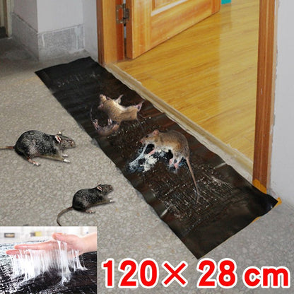 Large Glue Trap Board with Non-Toxic Adhesive and Cardboard Base, 10-Pack