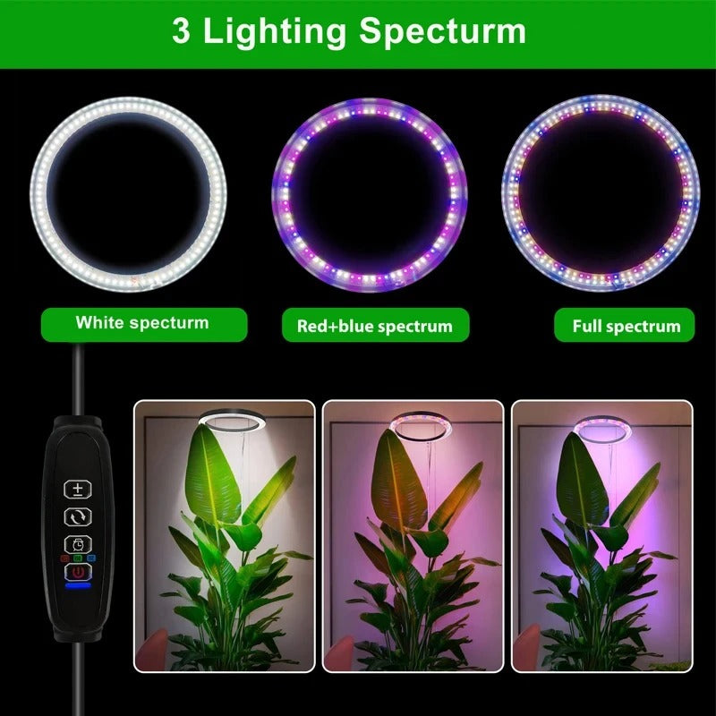 LED Ring Grow Light with Adjustable Height and 9 Brightness Levels for Indoor Plants