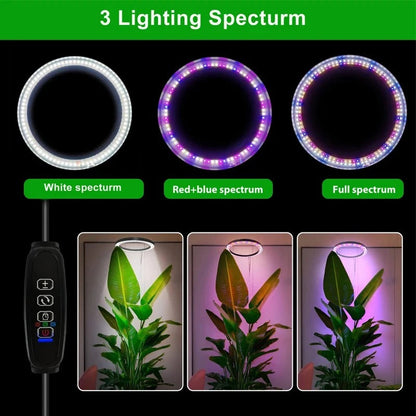 LED Ring Grow Light with Adjustable Height and 9 Brightness Levels for Indoor Plants