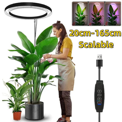 LED Ring Grow Light with Adjustable Height and 9 Brightness Levels for Indoor Plants