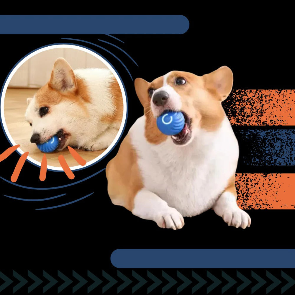 Self-Rolling Dog Ball with Automatic Obstacle Avoidance and Rechargeable Battery