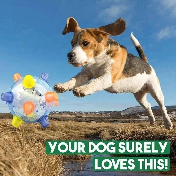 Interactive Bouncing Ball for Dogs with LED Lights and Touch Activation