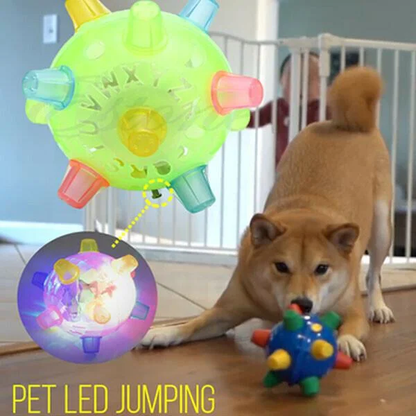 Interactive Bouncing Ball for Dogs with LED Lights and Touch Activation