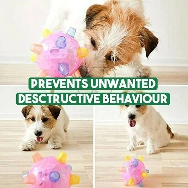 Interactive Bouncing Ball for Dogs with LED Lights and Touch Activation
