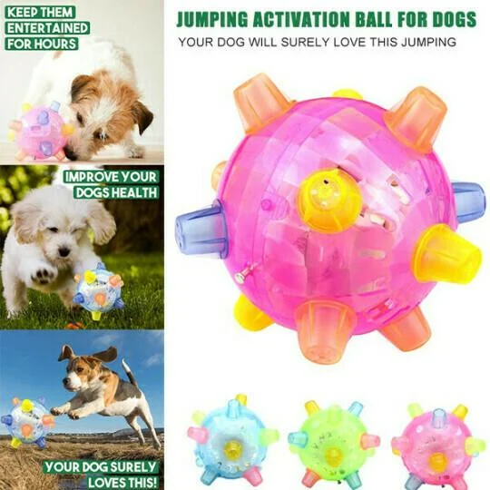 Interactive Bouncing Ball for Dogs with LED Lights and Touch Activation