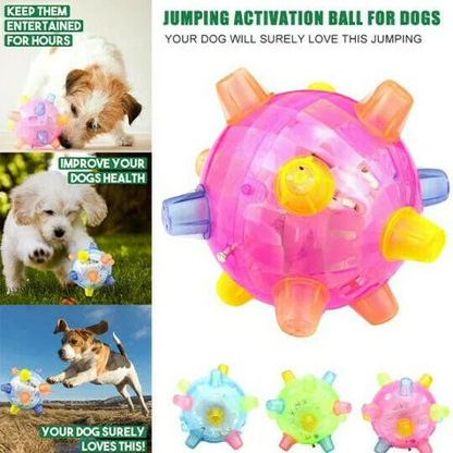 Interactive Bouncing Ball for Dogs with LED Lights and Touch Activation