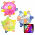 Interactive Bouncing Ball for Dogs with LED Lights and Touch Activation