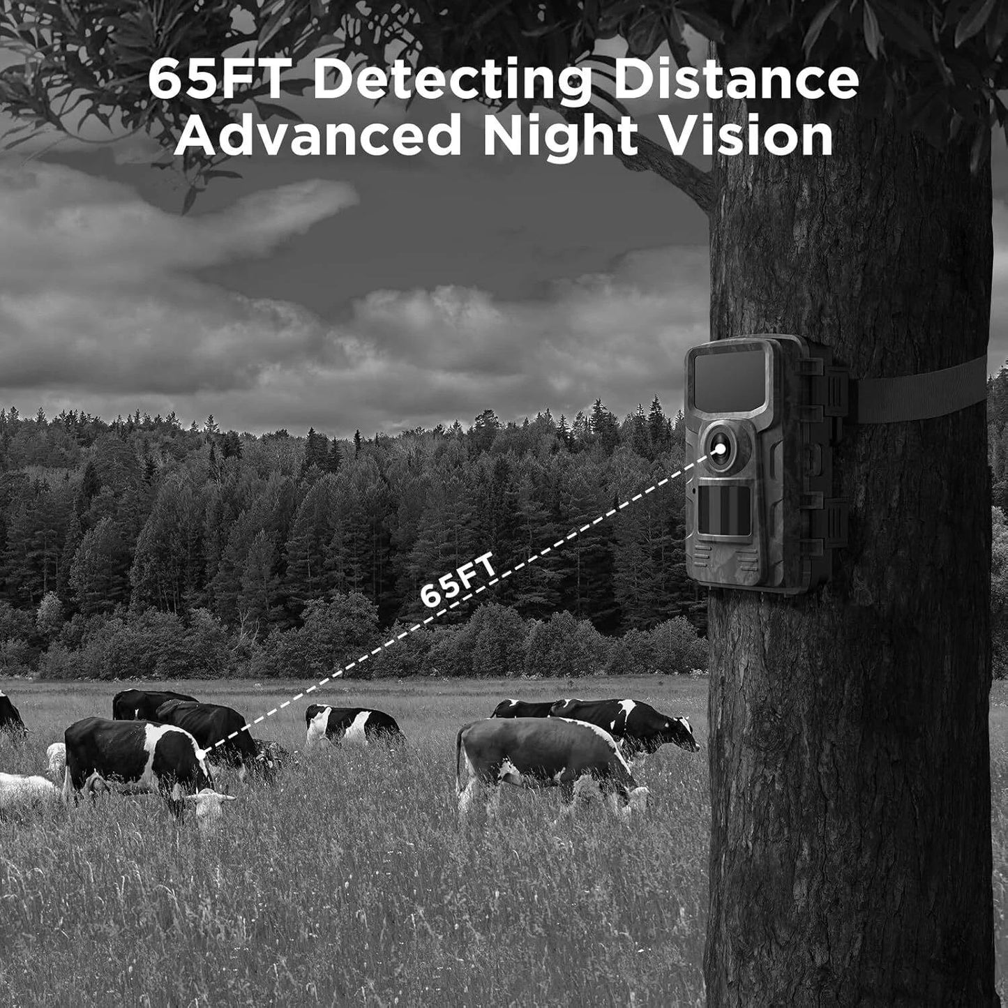 Wildlife Camera with 16MP Photos and Infrared Night Vision, 1080P HD Video